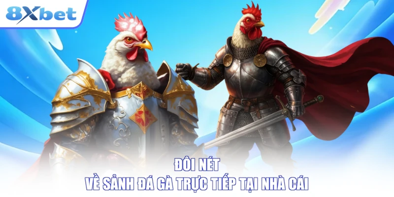 Đôi nét về sảnh đá gà trực tiếp tại nhà cái