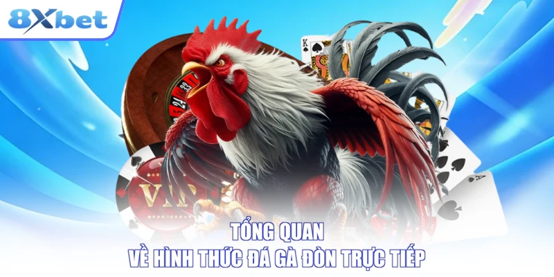 Tổng quan về hình thức đá gà đòn trực tiếp